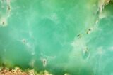 Polished Green Chrysoprase Slab - Western Australia #132899-1